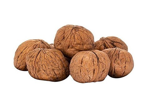 تصویر 3 از خرید گردو کاغذی درشت + قیمت فروش استثنایی